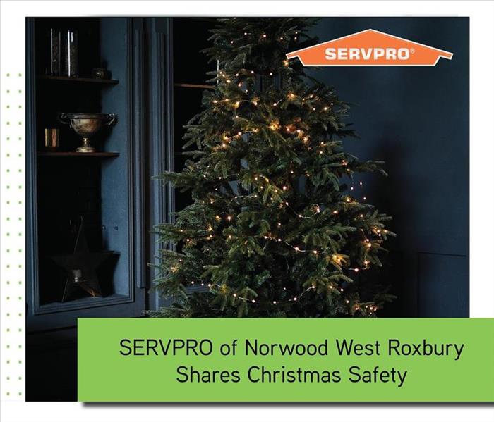 christmas tree with green text box and orange SERVPRO logo